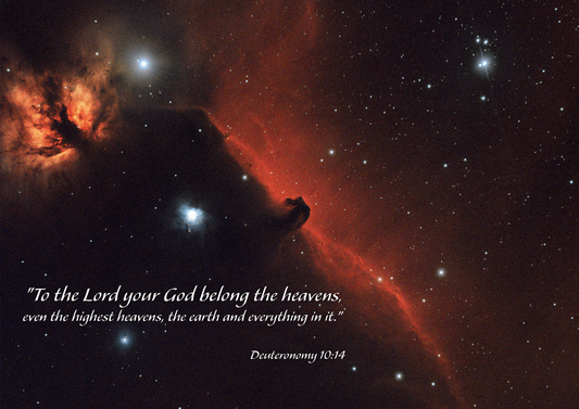 Digital Desktop Biblical Collection